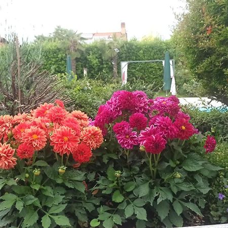 סומה קאמפניה Villa Magnolia Garda Lake חדר תמונה