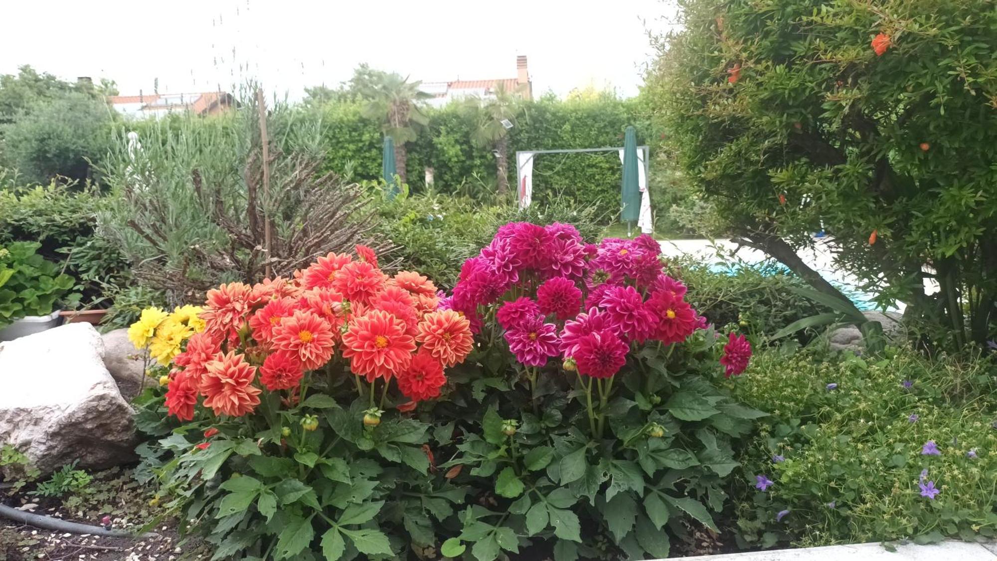 סומה קאמפניה Villa Magnolia Garda Lake חדר תמונה